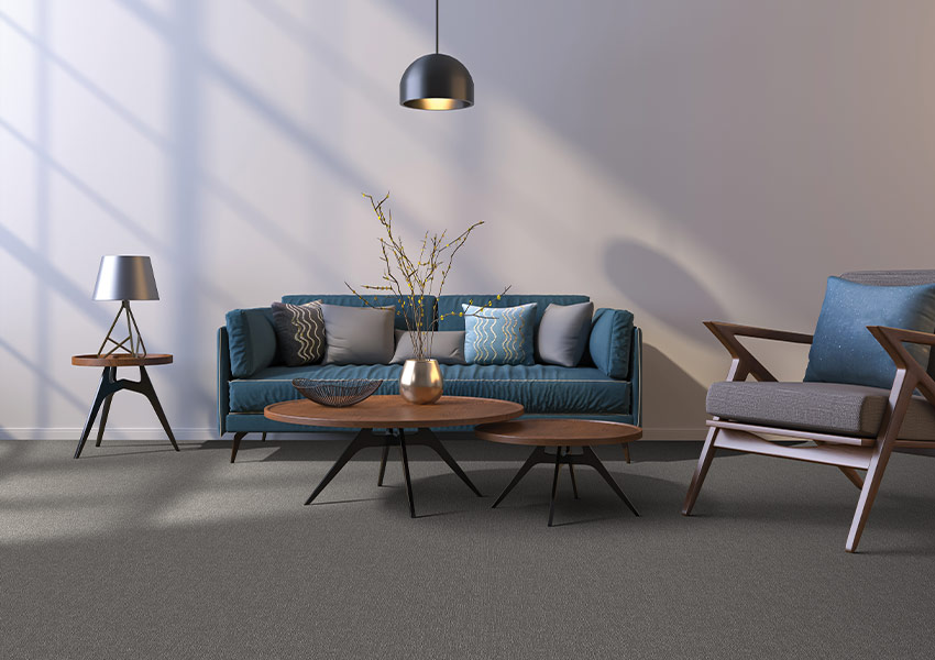 grey carpet in living room with midcentury modern decor